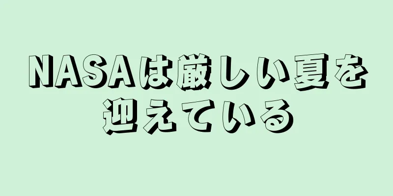 NASAは厳しい夏を迎えている