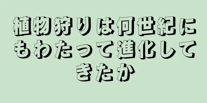 植物狩りは何世紀にもわたって進化してきたか