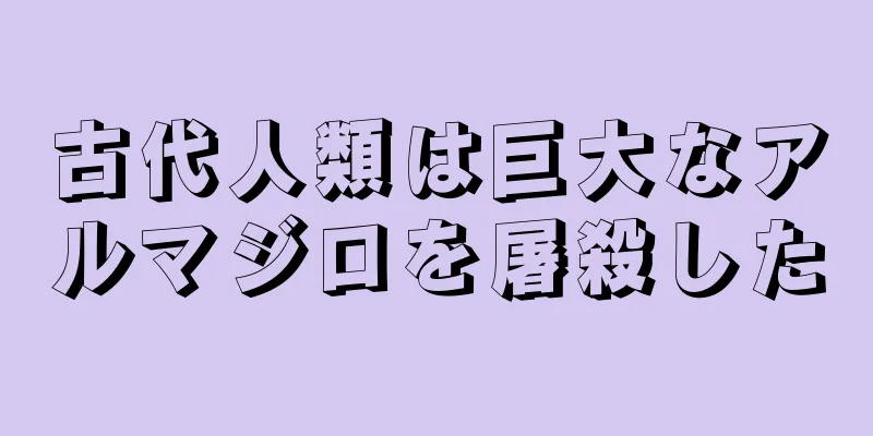 古代人類は巨大なアルマジロを屠殺した