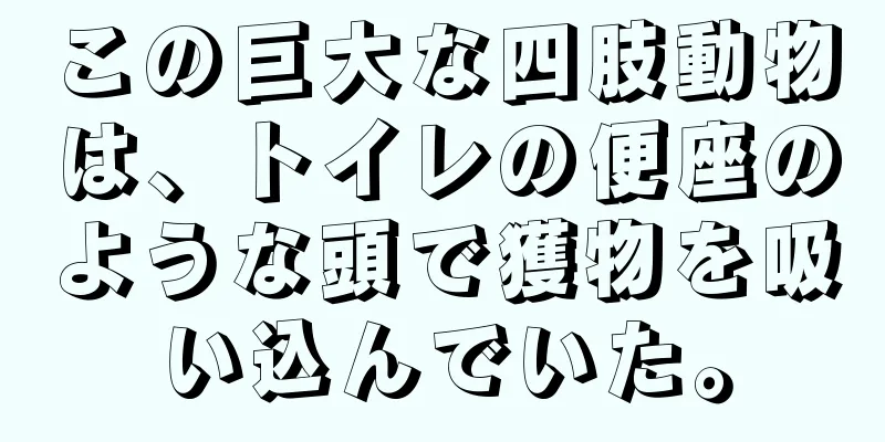 この巨大な四肢動物は、トイレの便座のような頭で獲物を吸い込んでいた。