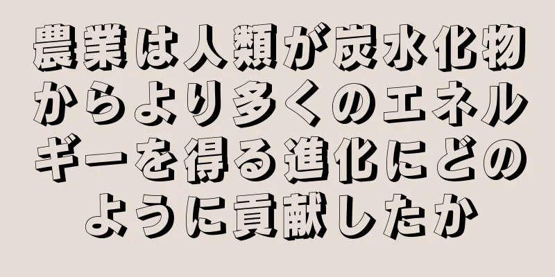 農業は人類が炭水化物からより多くのエネルギーを得る進化にどのように貢献したか