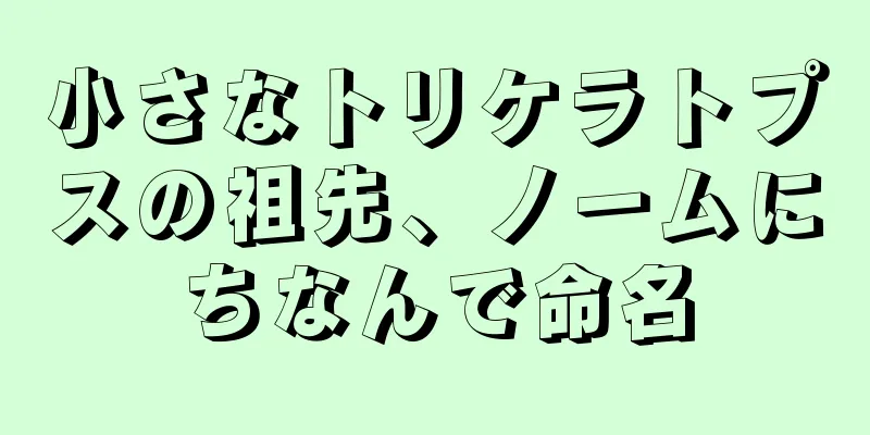 小さなトリケラトプスの祖先、ノームにちなんで命名