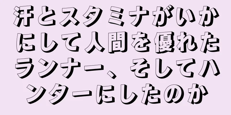 汗とスタミナがいかにして人間を優れたランナー、そしてハンターにしたのか