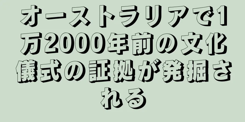 オーストラリアで1万2000年前の文化儀式の証拠が発掘される
