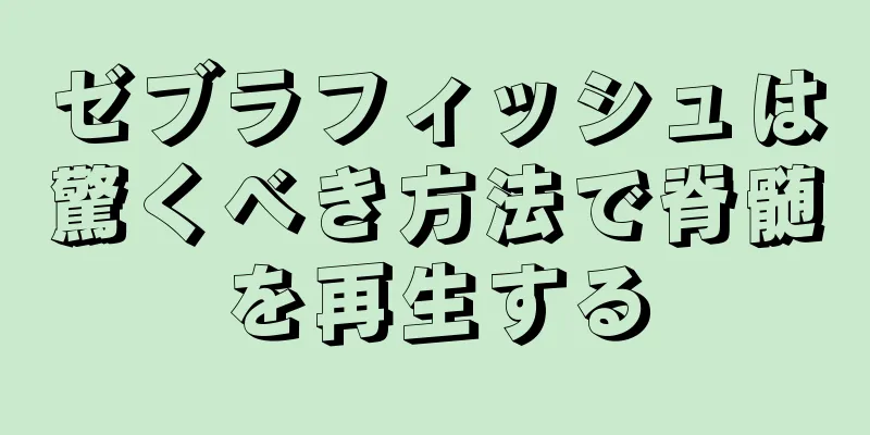 ゼブラフィッシュは驚くべき方法で脊髄を再生する