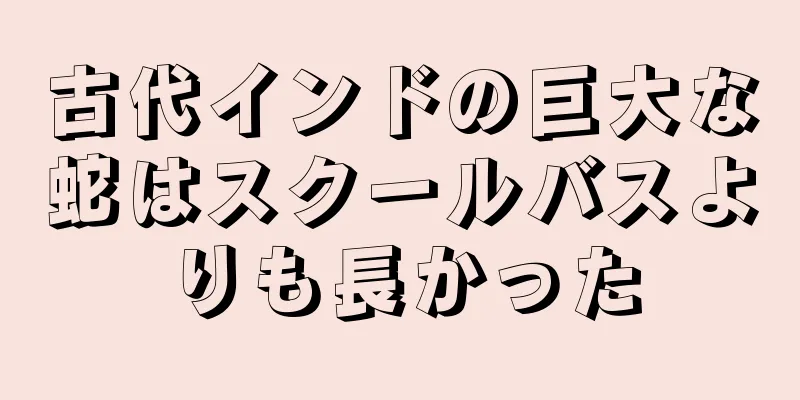 古代インドの巨大な蛇はスクールバスよりも長かった