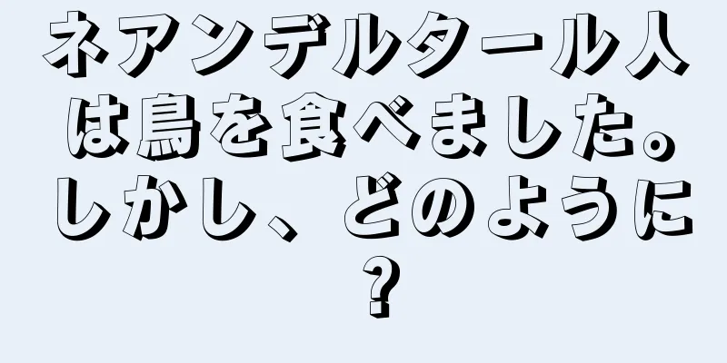 ネアンデルタール人は鳥を食べました。しかし、どのように？