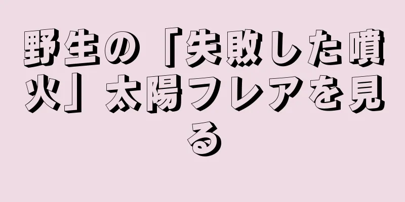 野生の「失敗した噴火」太陽フレアを見る