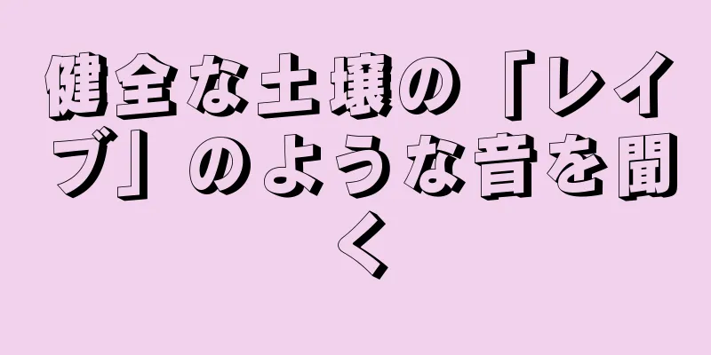 健全な土壌の「レイブ」のような音を聞く