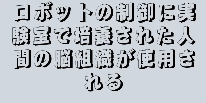 ロボットの制御に実験室で培養された人間の脳組織が使用される