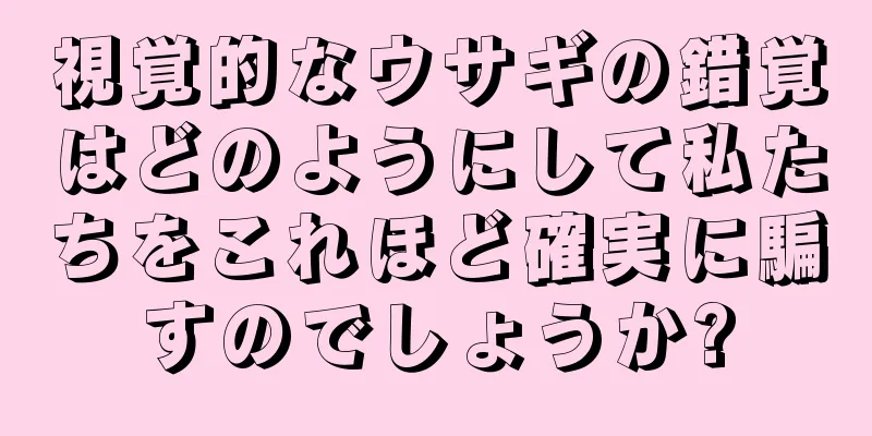 視覚的なウサギの錯覚はどのようにして私たちをこれほど確実に騙すのでしょうか?