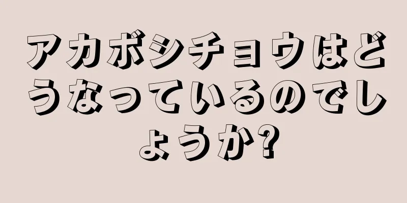 アカボシチョウはどうなっているのでしょうか?