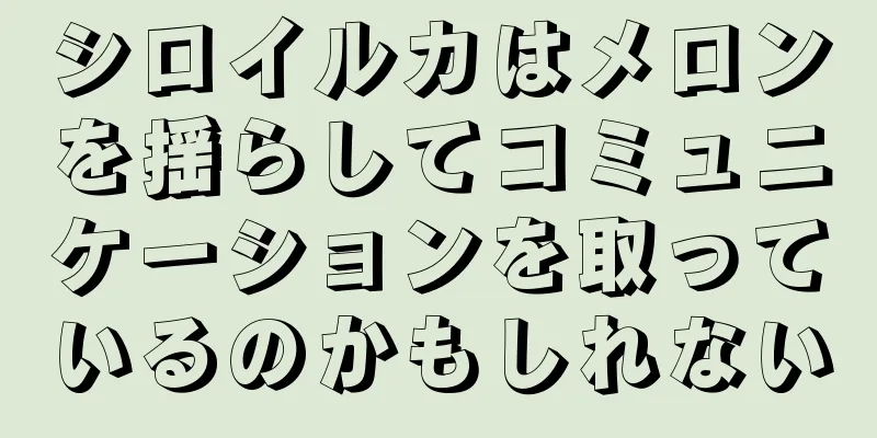 シロイルカはメロンを揺らしてコミュニケーションを取っているのかもしれない