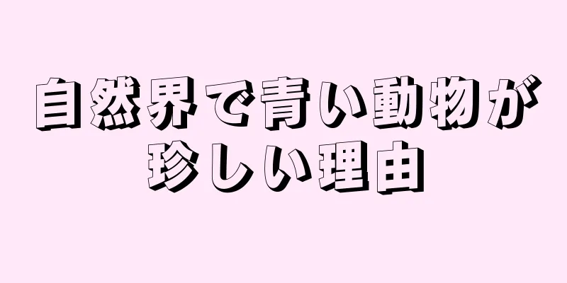 自然界で青い動物が珍しい理由