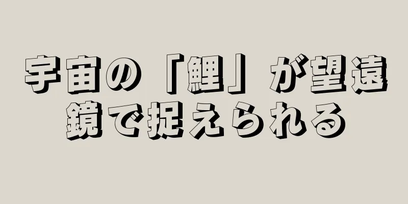宇宙の「鯉」が望遠鏡で捉えられる