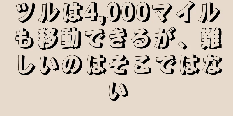 ツルは4,000マイルも移動できるが、難しいのはそこではない