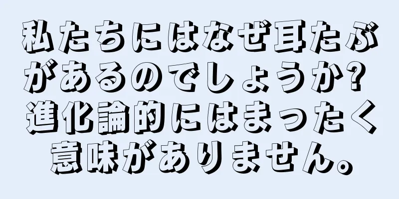 私たちにはなぜ耳たぶがあるのでしょうか? 進化論的にはまったく意味がありません。