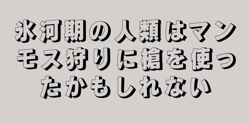 氷河期の人類はマンモス狩りに槍を使ったかもしれない