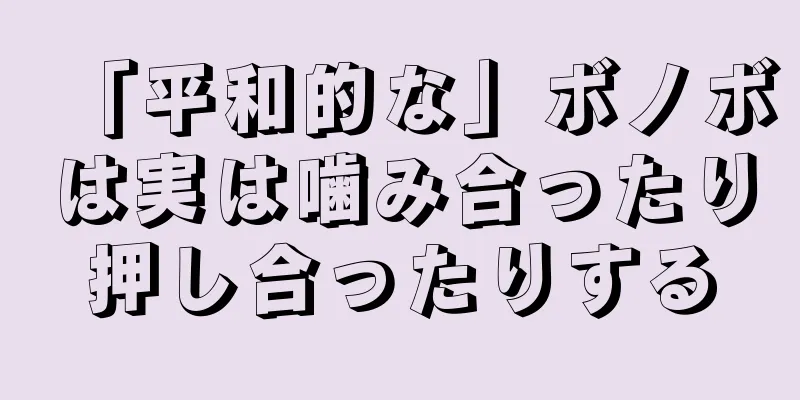 「平和的な」ボノボは実は噛み合ったり押し合ったりする