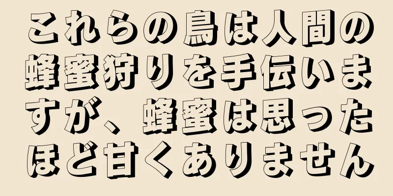 これらの鳥は人間の蜂蜜狩りを手伝いますが、蜂蜜は思ったほど甘くありません