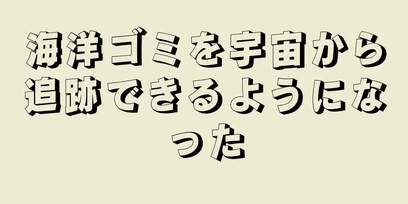 海洋ゴミを宇宙から追跡できるようになった
