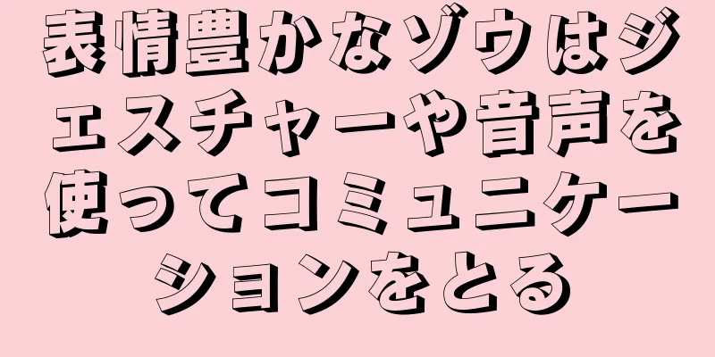 表情豊かなゾウはジェスチャーや音声を使ってコミュニケーションをとる