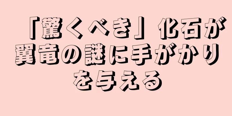 「驚くべき」化石が翼竜の謎に手がかりを与える