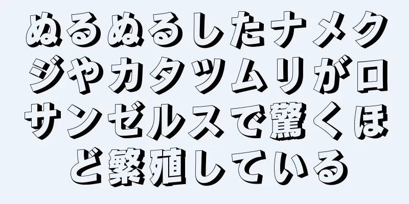 ぬるぬるしたナメクジやカタツムリがロサンゼルスで驚くほど繁殖している