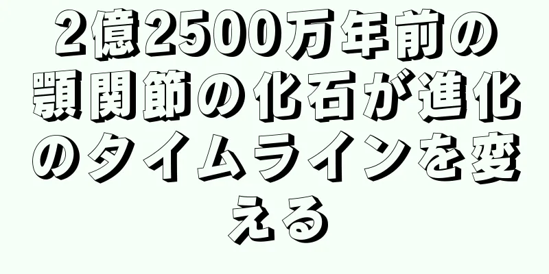 2億2500万年前の顎関節の化石が進化のタイムラインを変える
