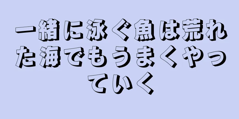 一緒に泳ぐ魚は荒れた海でもうまくやっていく