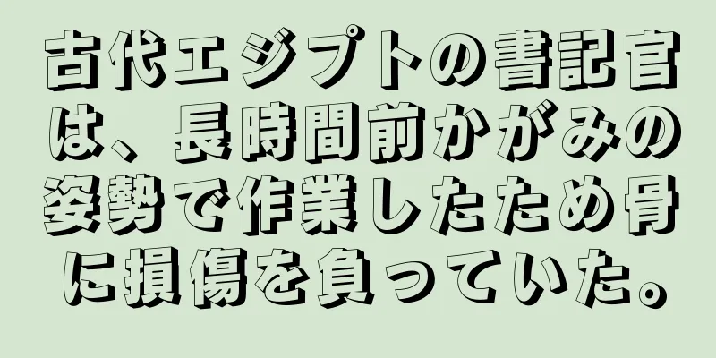 古代エジプトの書記官は、長時間前かがみの姿勢で作業したため骨に損傷を負っていた。