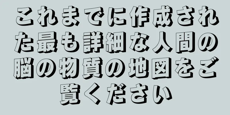 これまでに作成された最も詳細な人間の脳の物質の地図をご覧ください
