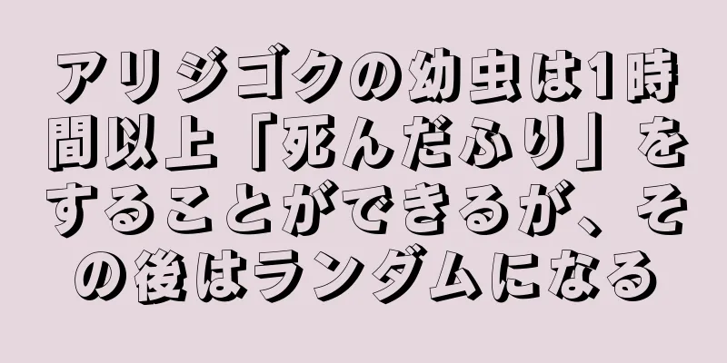 アリジゴクの幼虫は1時間以上「死んだふり」をすることができるが、その後はランダムになる