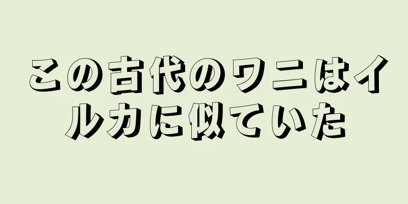 この古代のワニはイルカに似ていた