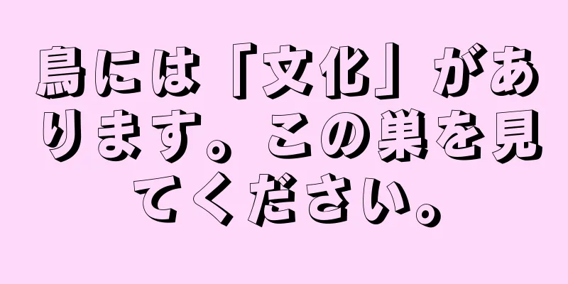 鳥には「文化」があります。この巣を見てください。