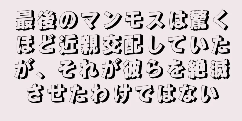 最後のマンモスは驚くほど近親交配していたが、それが彼らを絶滅させたわけではない