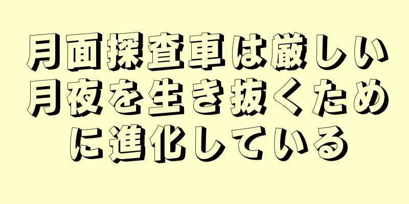 月面探査車は厳しい月夜を生き抜くために進化している
