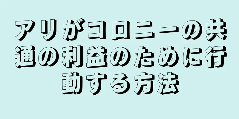 アリがコロニーの共通の利益のために行動する方法