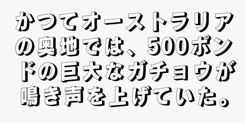 かつてオーストラリアの奥地では、500ポンドの巨大なガチョウが鳴き声を上げていた。