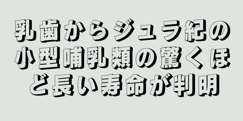 乳歯からジュラ紀の小型哺乳類の驚くほど長い寿命が判明