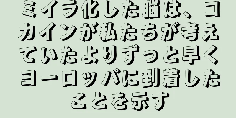 ミイラ化した脳は、コカインが私たちが考えていたよりずっと早くヨーロッパに到着したことを示す