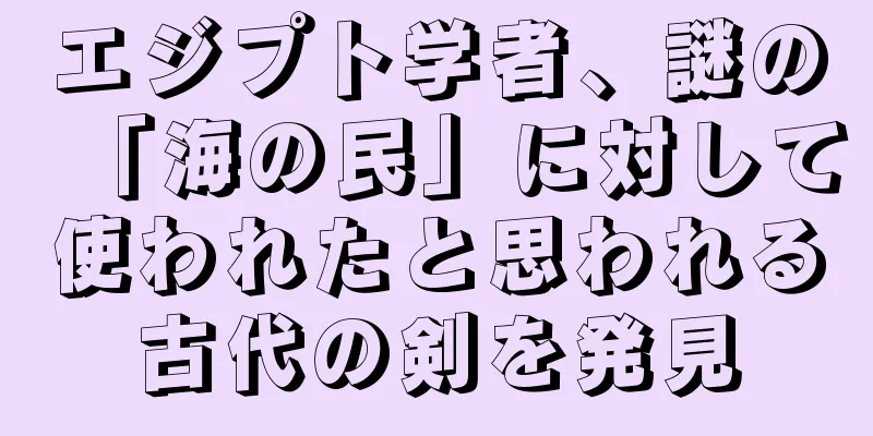 エジプト学者、謎の「海の民」に対して使われたと思われる古代の剣を発見