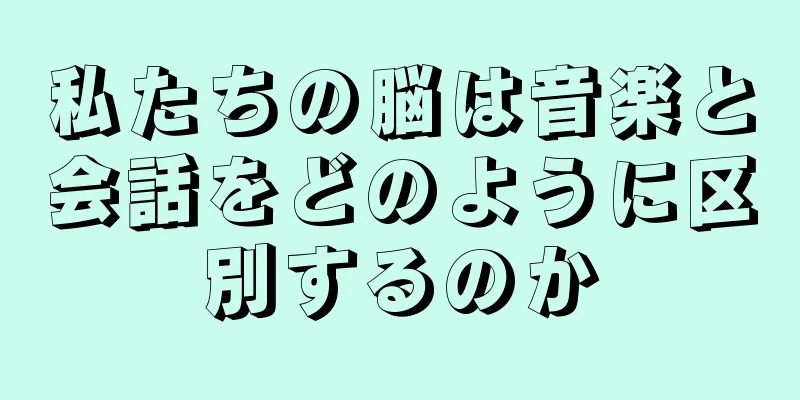 私たちの脳は音楽と会話をどのように区別するのか