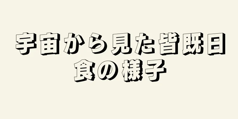 宇宙から見た皆既日食の様子
