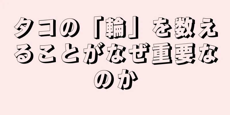 タコの「輪」を数えることがなぜ重要なのか