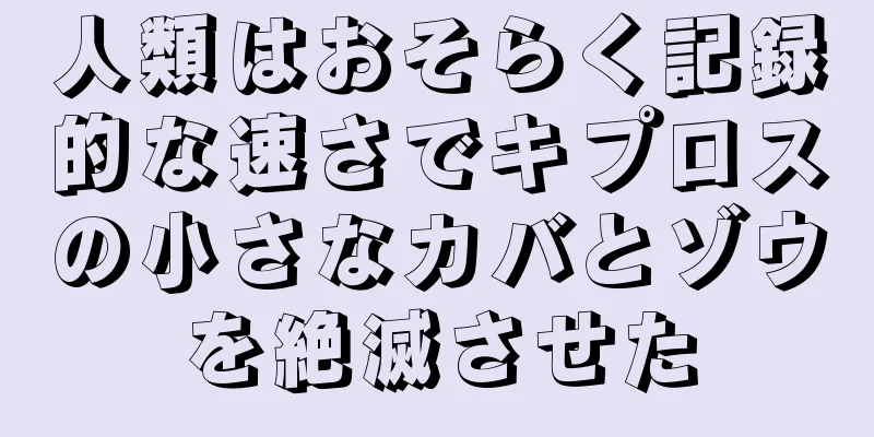 人類はおそらく記録的な速さでキプロスの小さなカバとゾウを絶滅させた