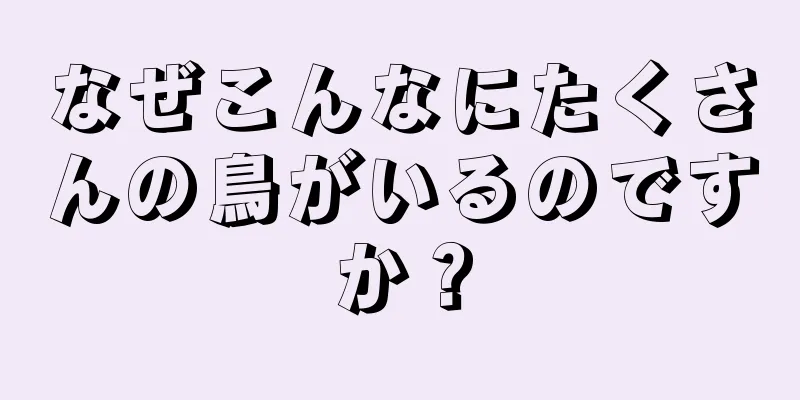 なぜこんなにたくさんの鳥がいるのですか？