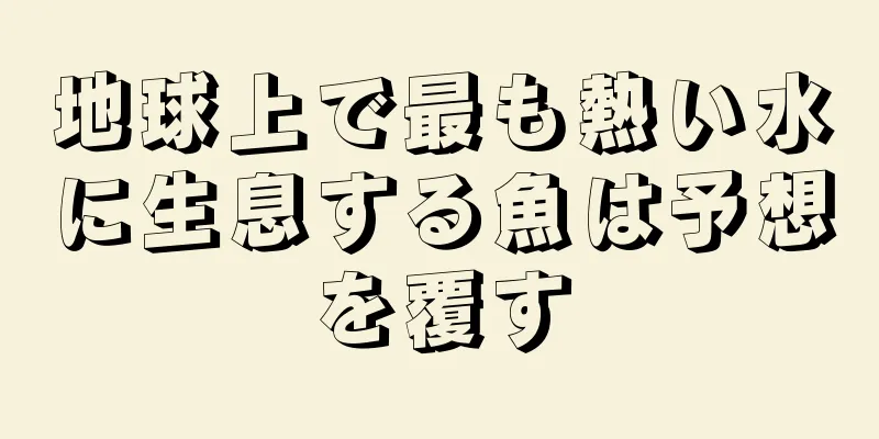 地球上で最も熱い水に生息する魚は予想を覆す