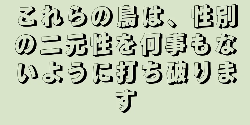 これらの鳥は、性別の二元性を何事もないように打ち破ります