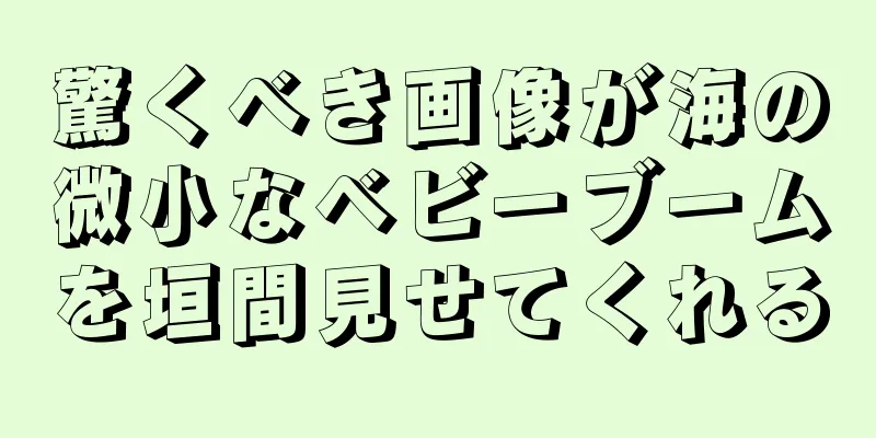 驚くべき画像が海の微小なベビーブームを垣間見せてくれる